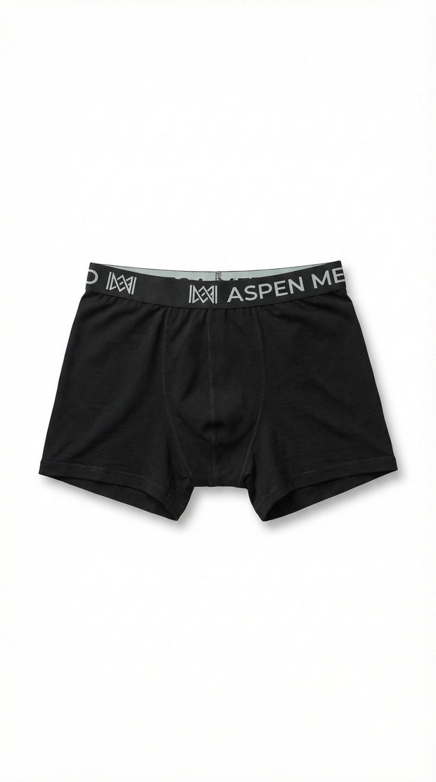 Black boxer briefs with Aspen Merino branded waistband on a white background